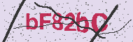 Codice captcha