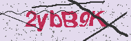 Codice captcha
