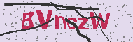 Codice captcha