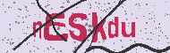 Codice captcha