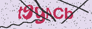 Codice captcha