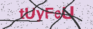 Codice captcha