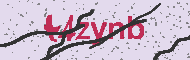 Codice captcha