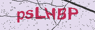 Codice captcha