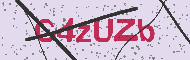 Codice captcha