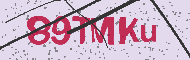 Codice captcha