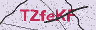Codice captcha