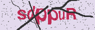 Codice captcha