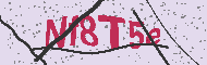 Codice captcha