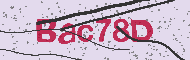 Codice captcha